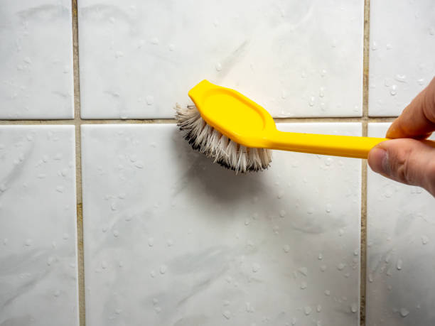 Best Professional Mold Removal  in Cut Off, LA