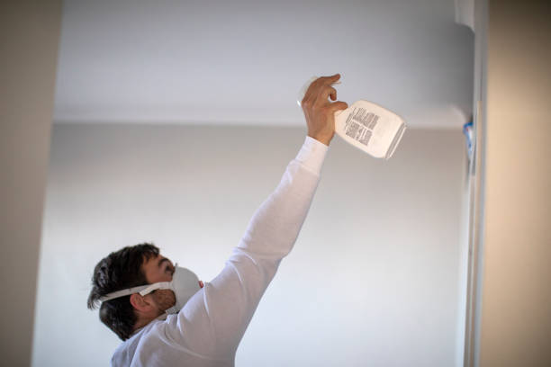Certified Mold Removal in Cut Off, LA